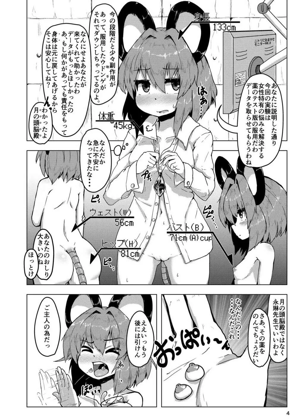 実験用ナズーリン Page.3
