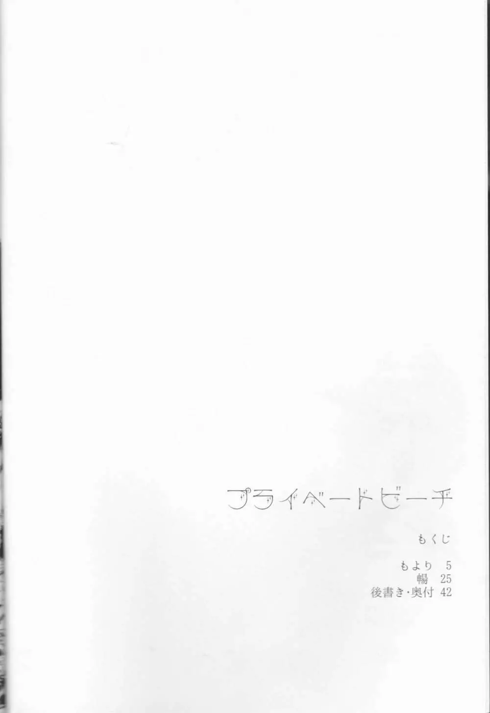 プライベートビーチ Page.5