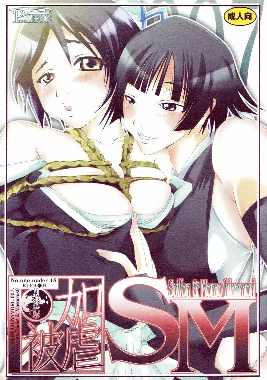 加虐・被虐~月のない空~