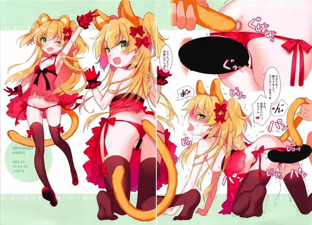 SWEET IDOL★COLLECTION PASSION♥EDITION Page.5