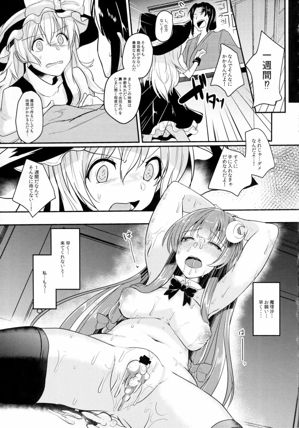 身代わりのパチュリー Page.20