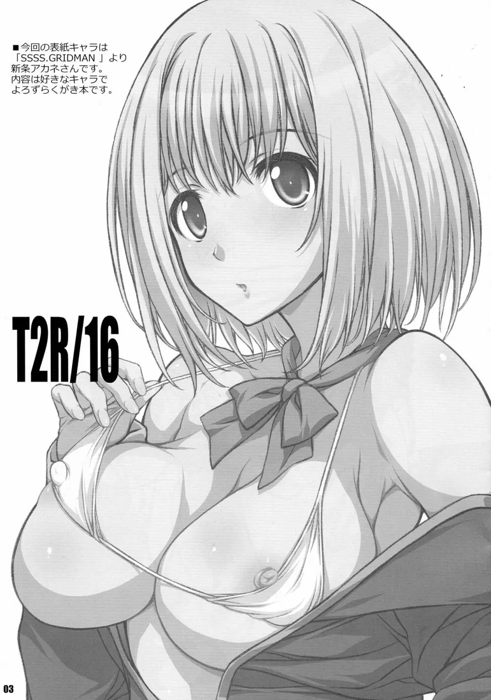 T2R/16 Page.3