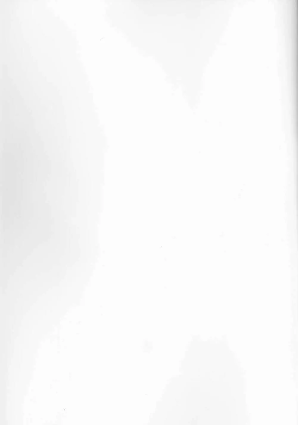 夏だ!!水着だ!18禁だ!! Page.2