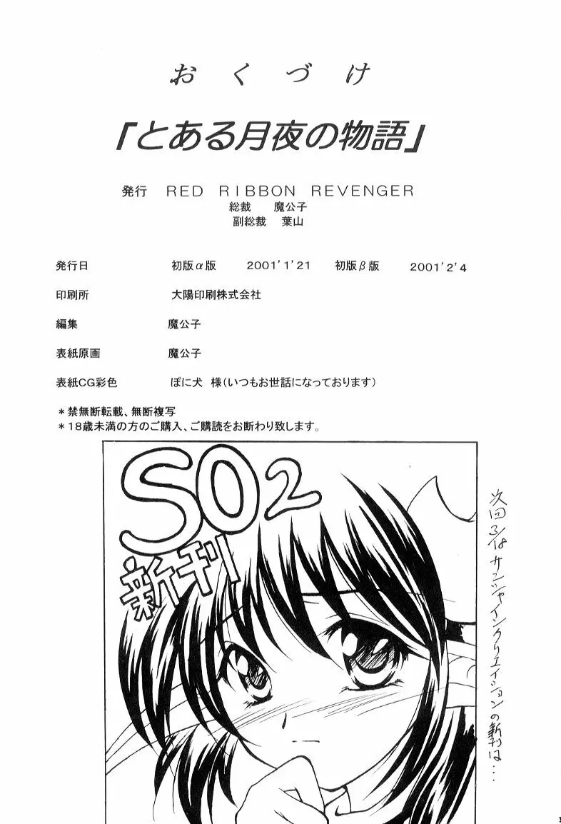 とある月夜の物語 Page.29