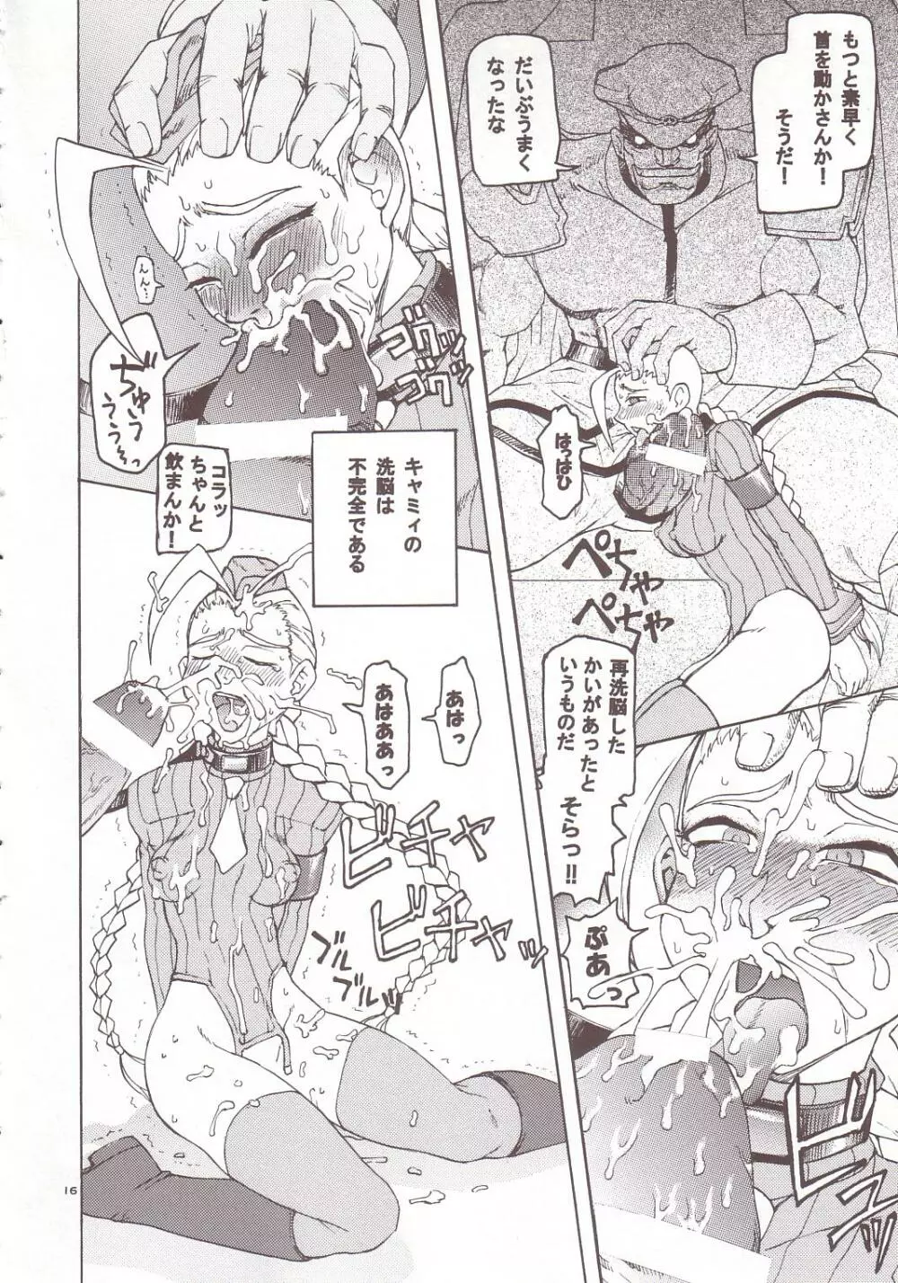 トュルトゥル計画Vol.4 Page.14