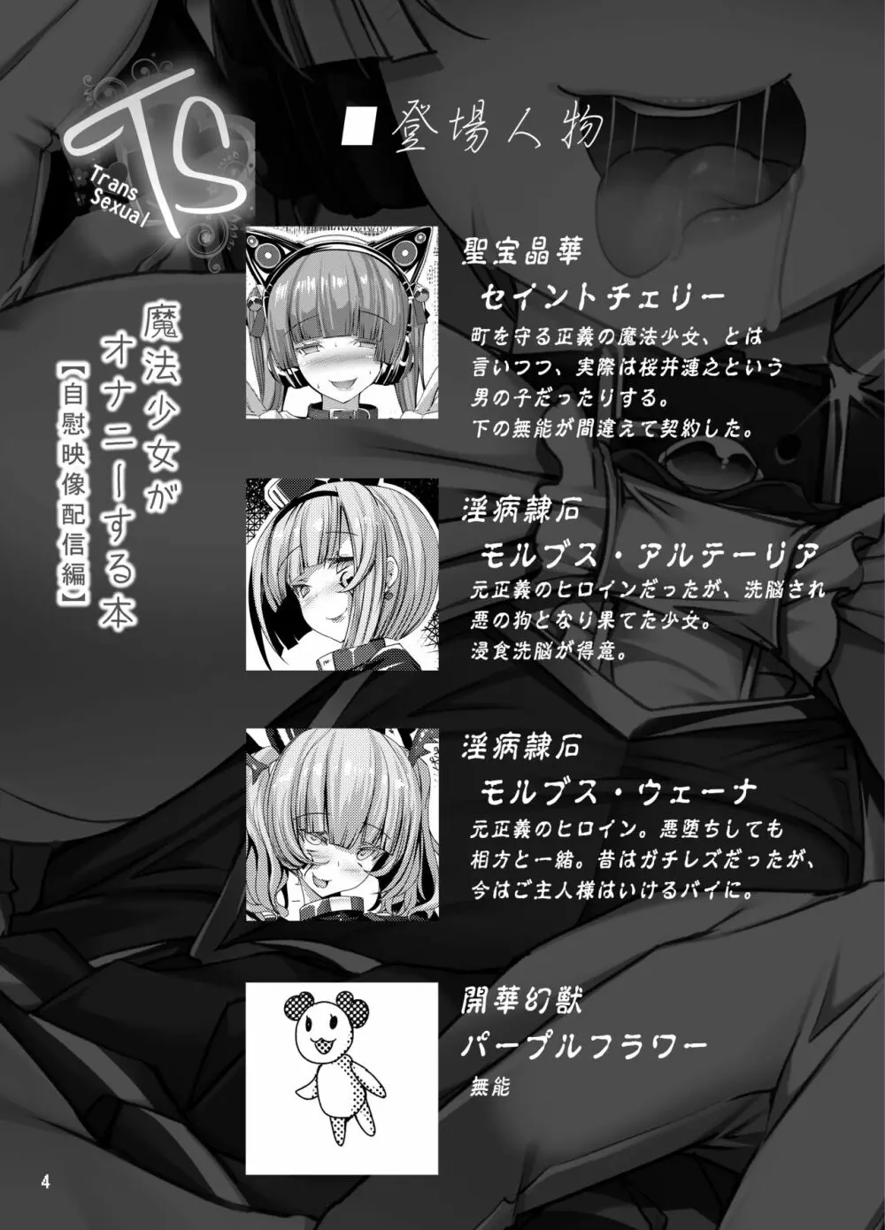 TS魔法少女がオナニーする本～自慰映像配信編～ Page.4