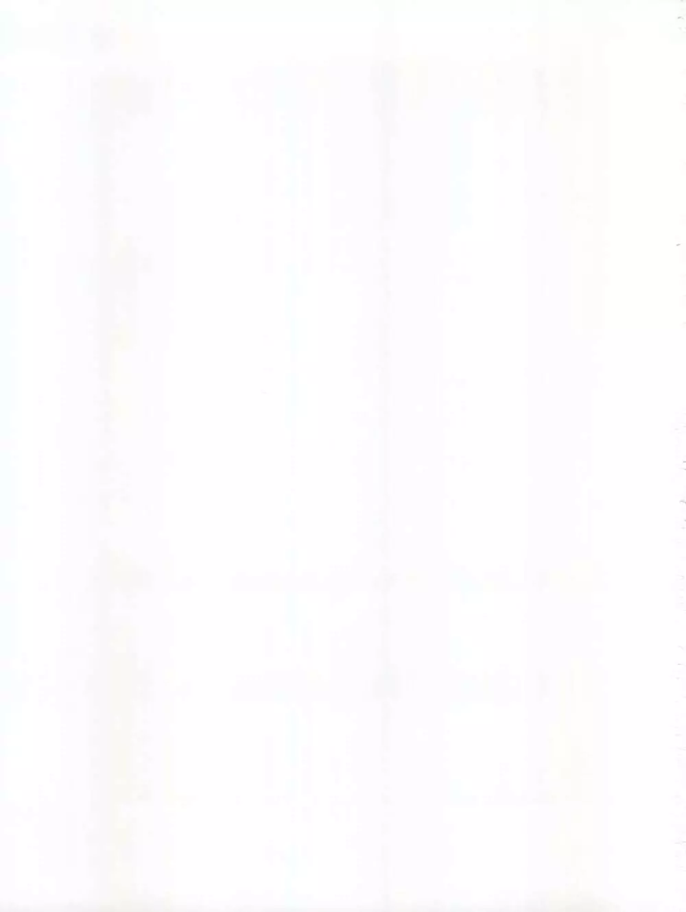 聖まじかる学園 生徒指導要項 Page.31