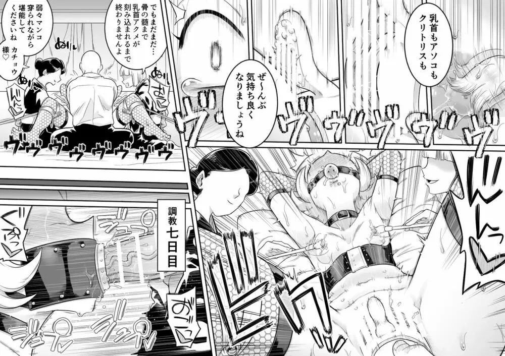 カチョウ性奴隷調教II Page.7