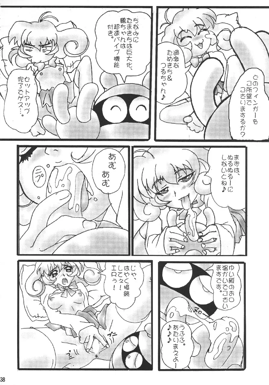 GUNYOU MIKAN 14 Page.37