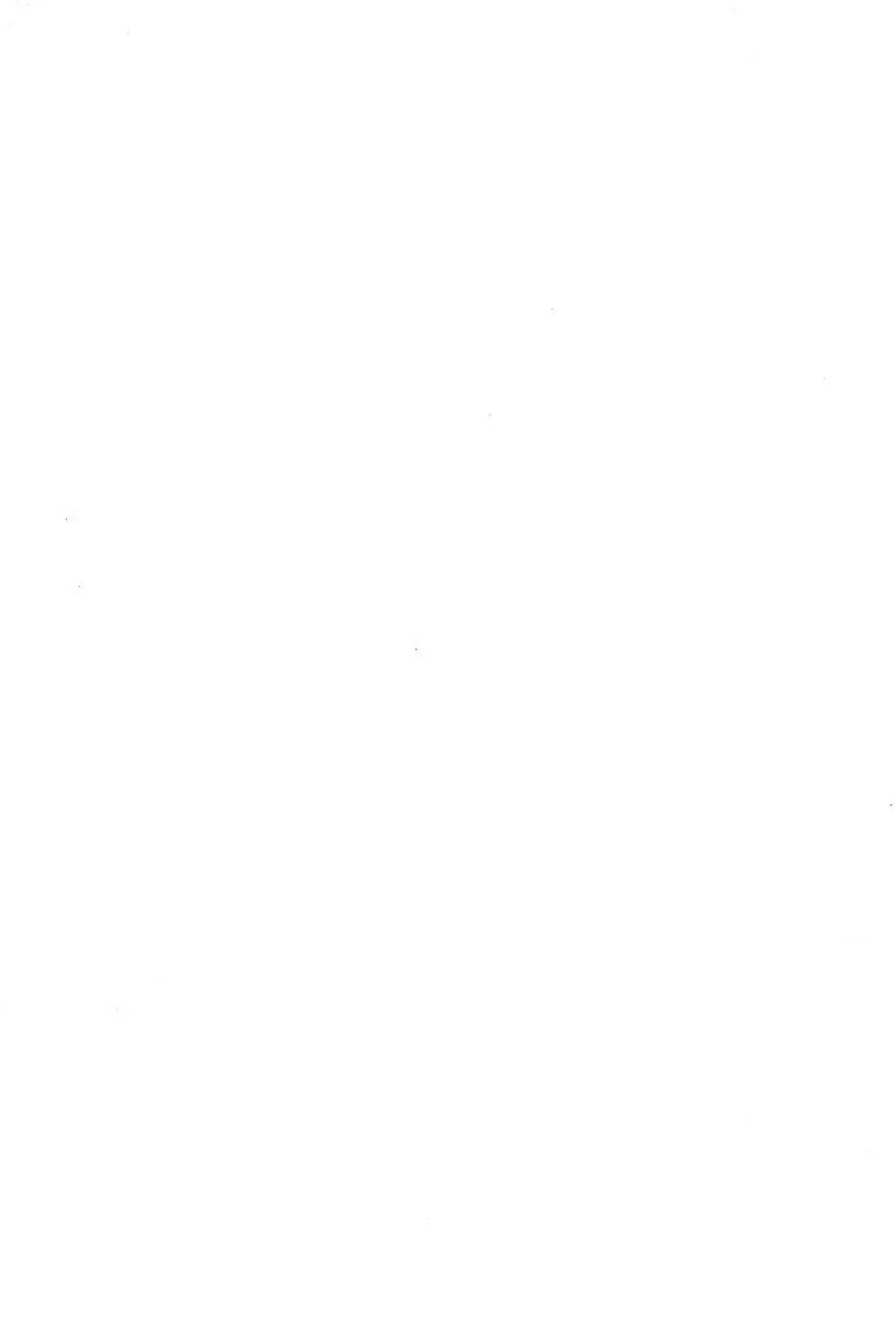 迷菓東や 東・京都個人誌 Vol.4~6 総再編集本 Page.2