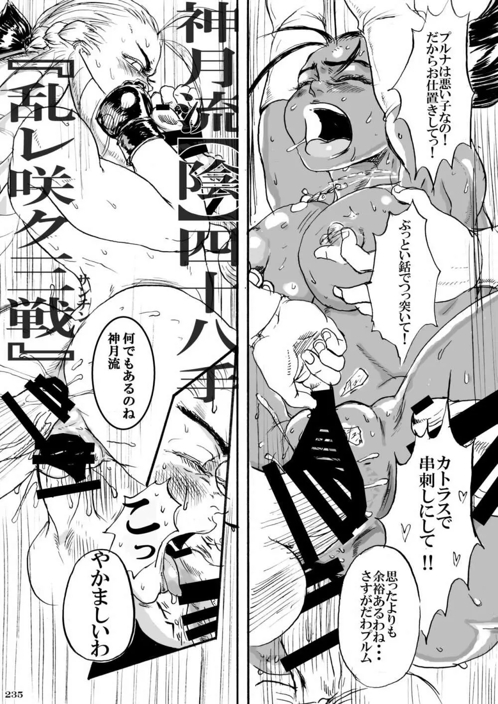 平成対戦格ゲー輪姦乱交プレイバック~おかわり10先!!~ Page.239