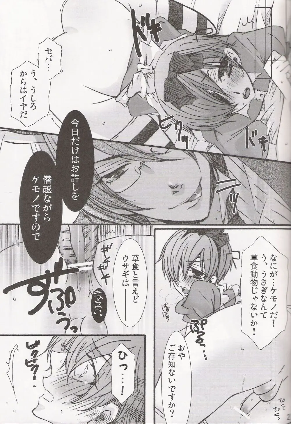 パレドール Page.27