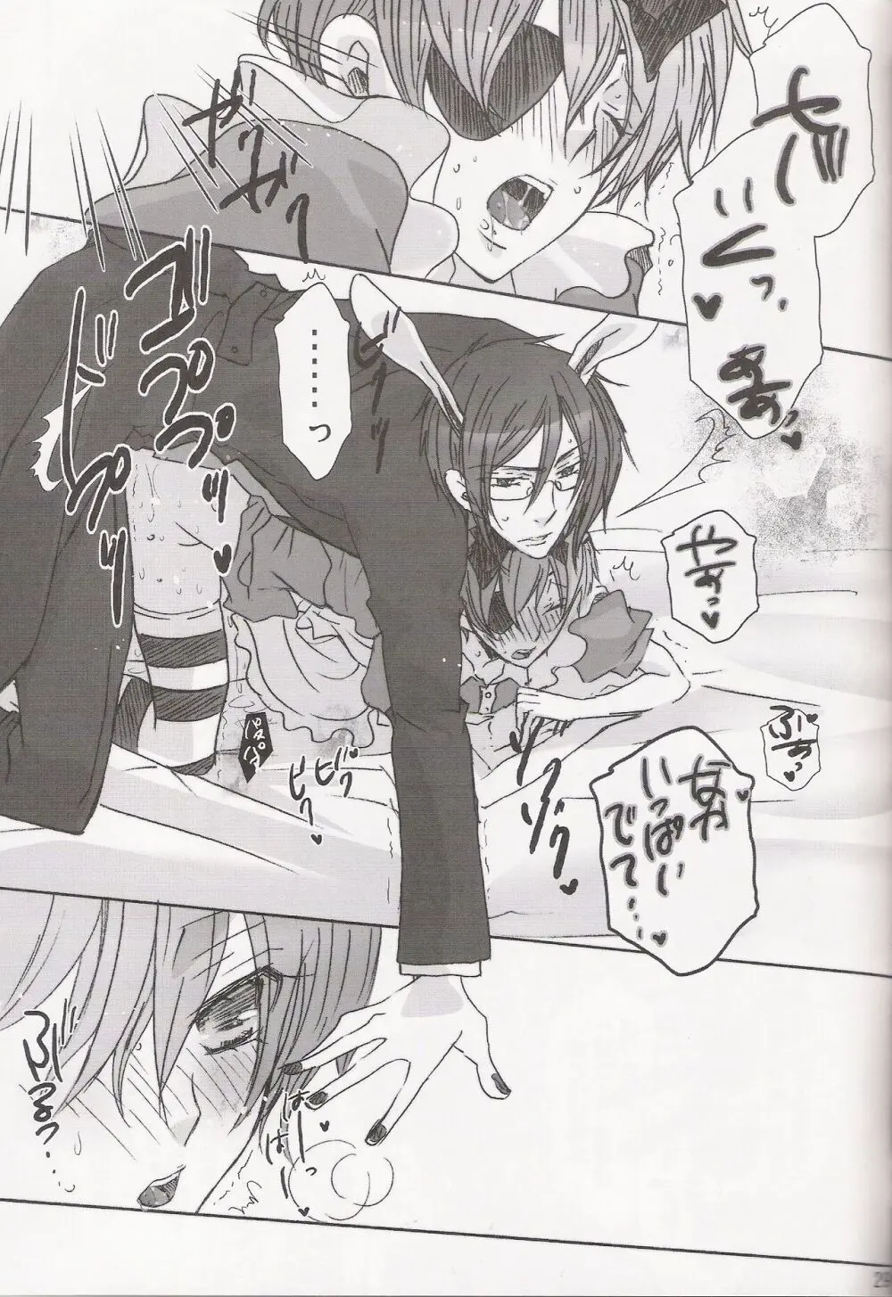 パレドール Page.29