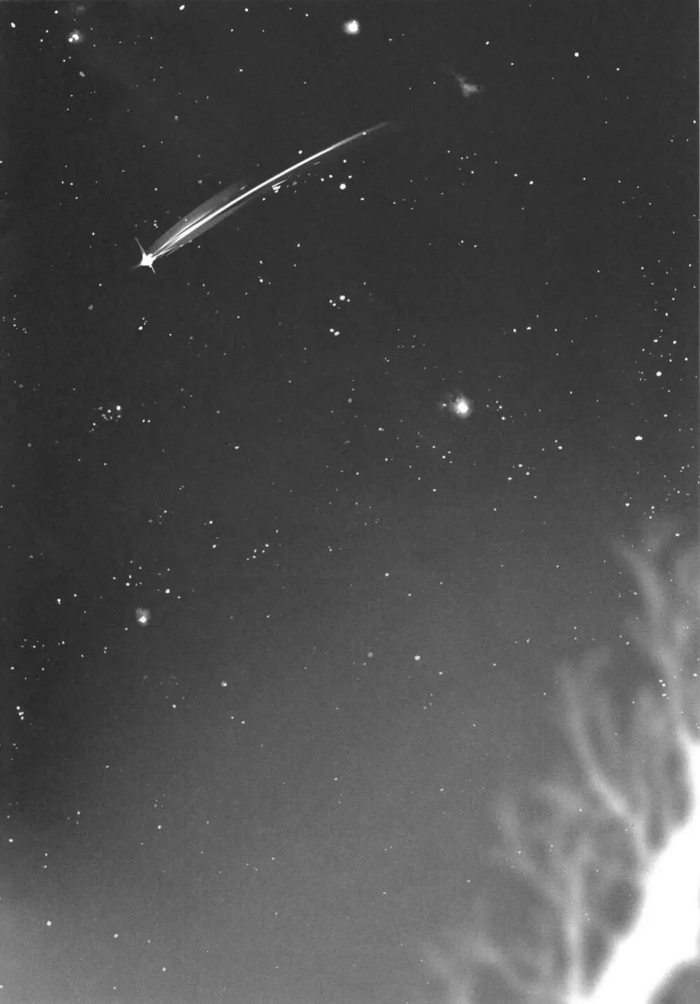 誰もしらない夢をみよう Page.31