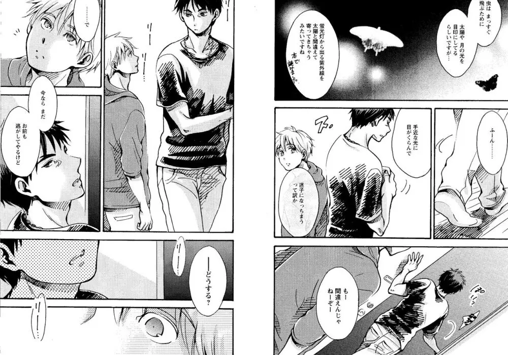 光と影が交わる刻 Page.84