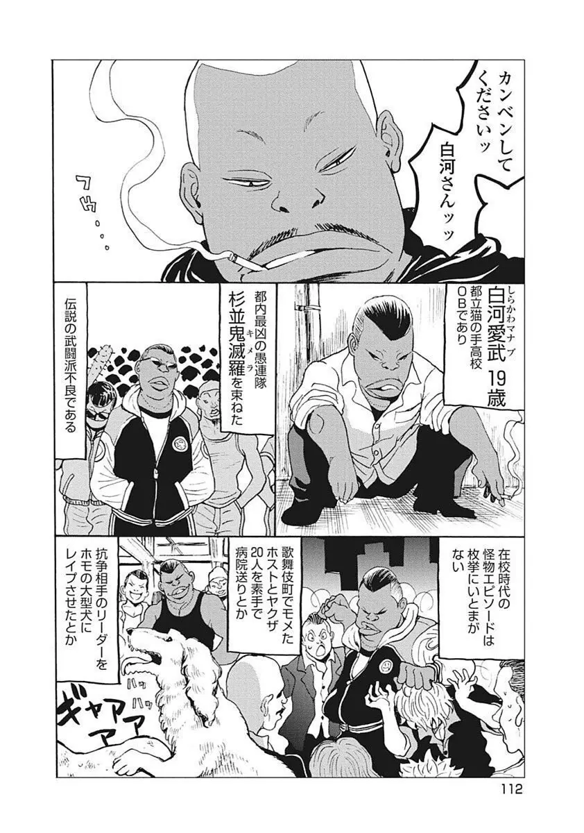 Hagure Idol VOL 14 Page.114