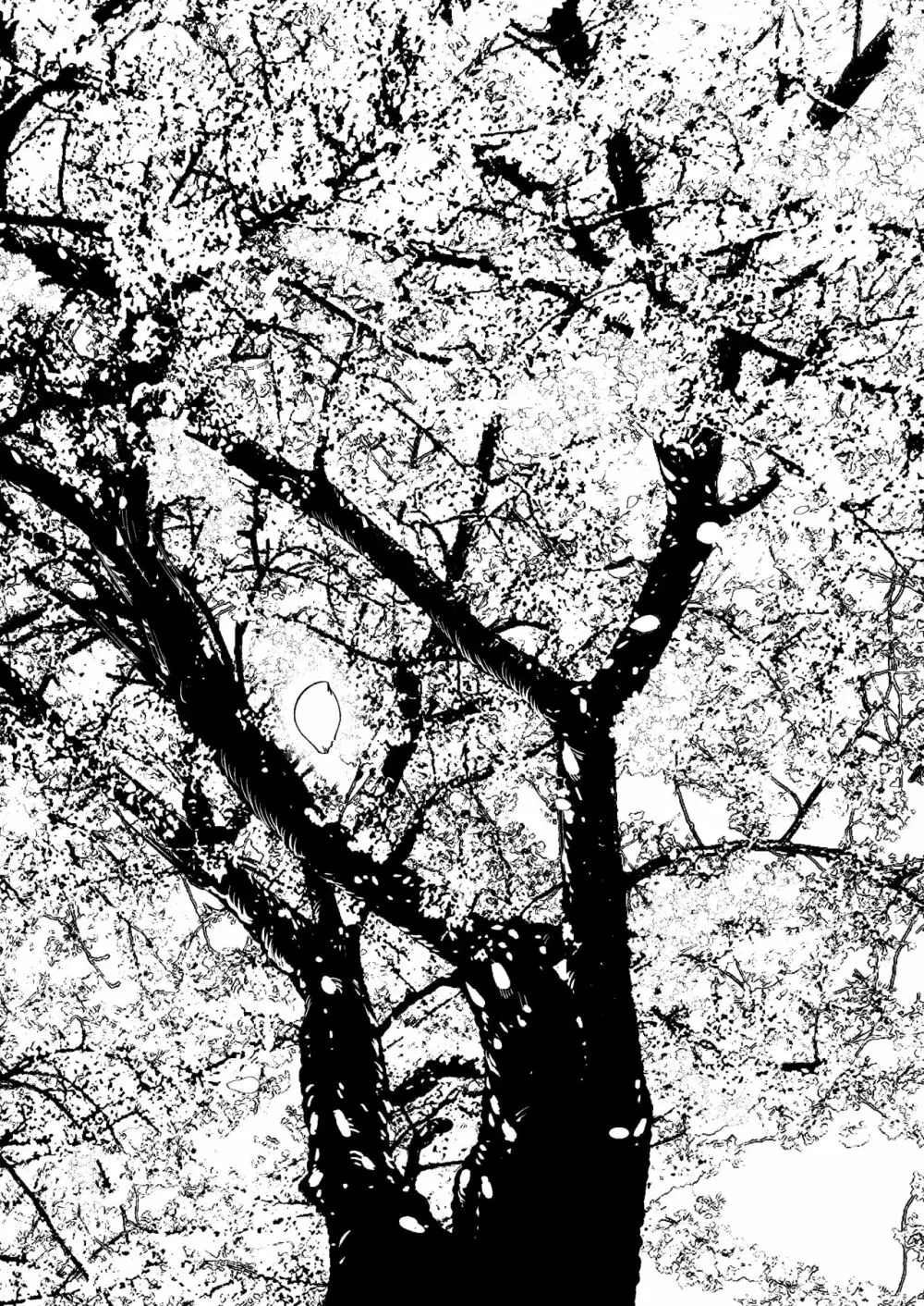 聖母の胎盤 Page.60