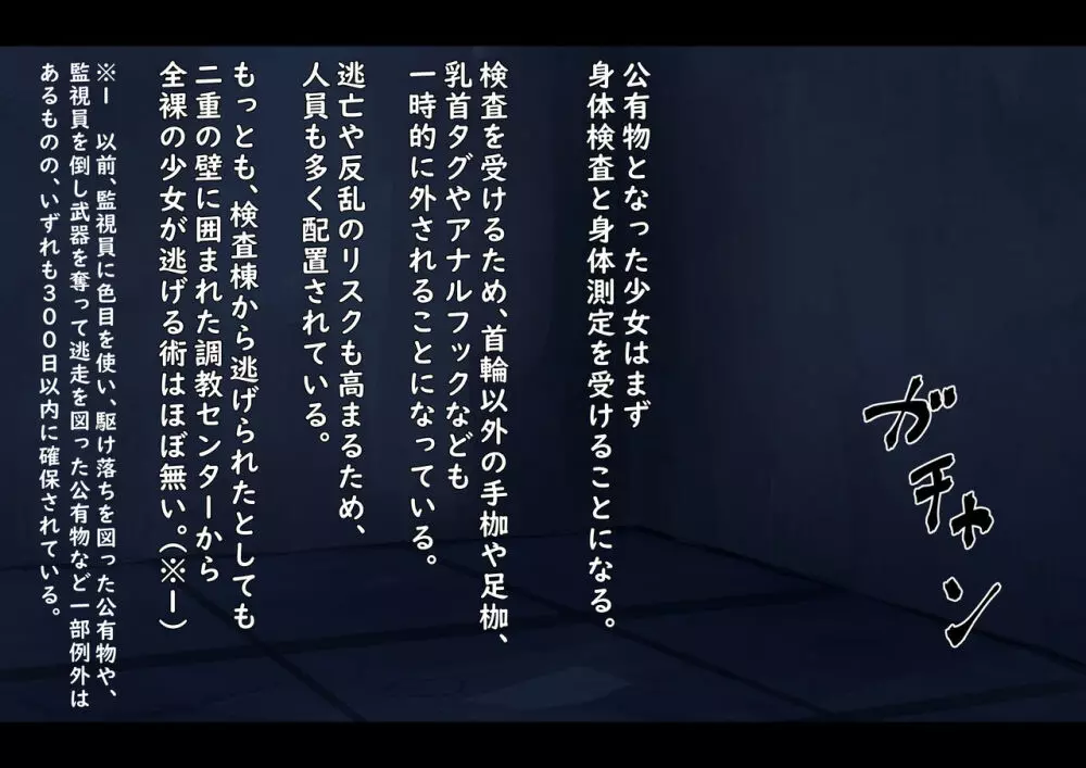 公有物少女 2 ~ 国から人権を剥奪され物として扱われる女の子の話 ~ 二日目編 Page.33