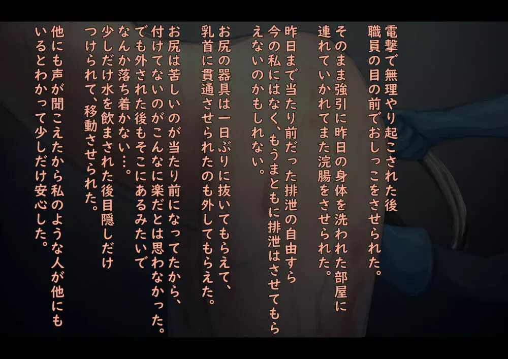 公有物少女 2 ~ 国から人権を剥奪され物として扱われる女の子の話 ~ 二日目編 Page.47