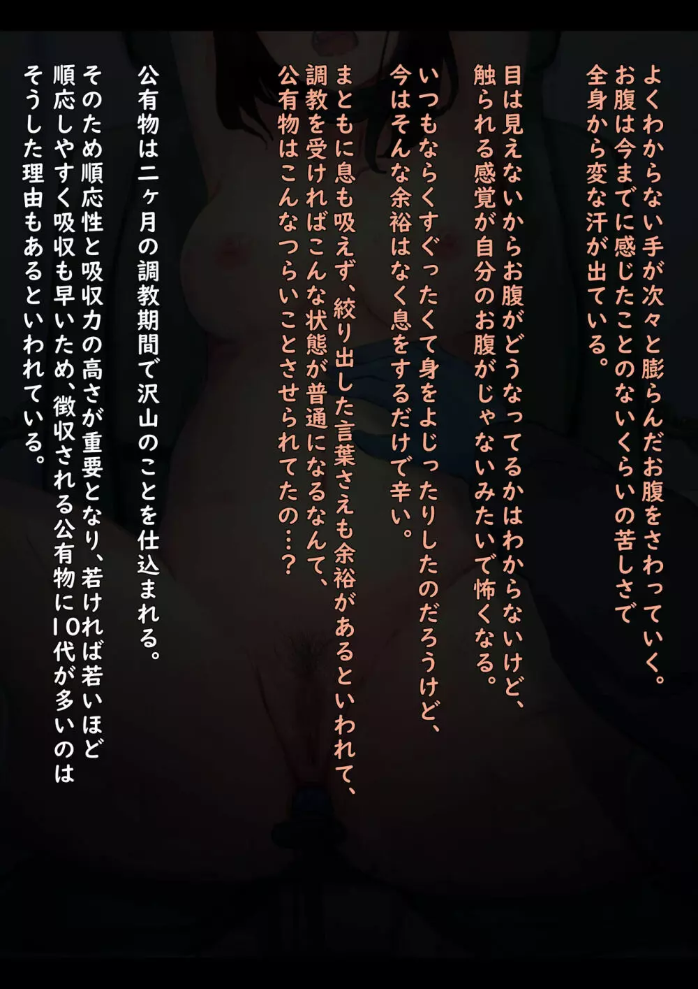 公有物少女 2 ~ 国から人権を剥奪され物として扱われる女の子の話 ~ 二日目編 Page.87