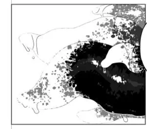 壁（棚）尻まとめ＋ Page.8