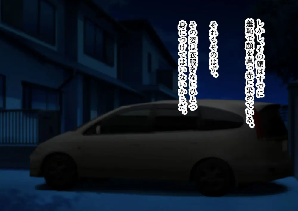 野外露出排泄 Page.11