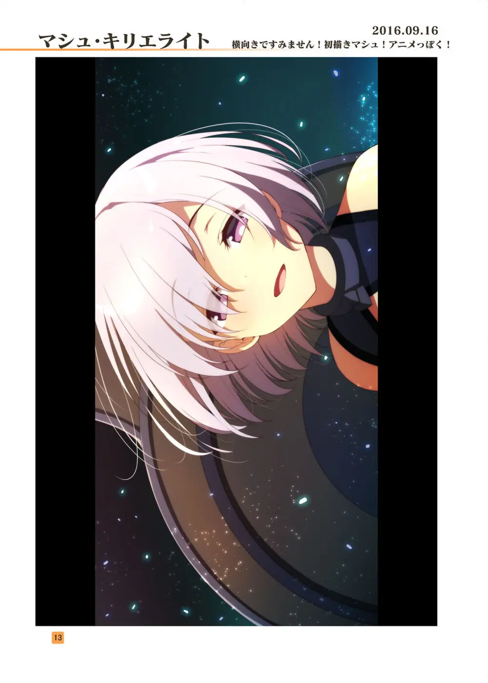 HIKAGE ILLUSTRATIONS 2 Page.12