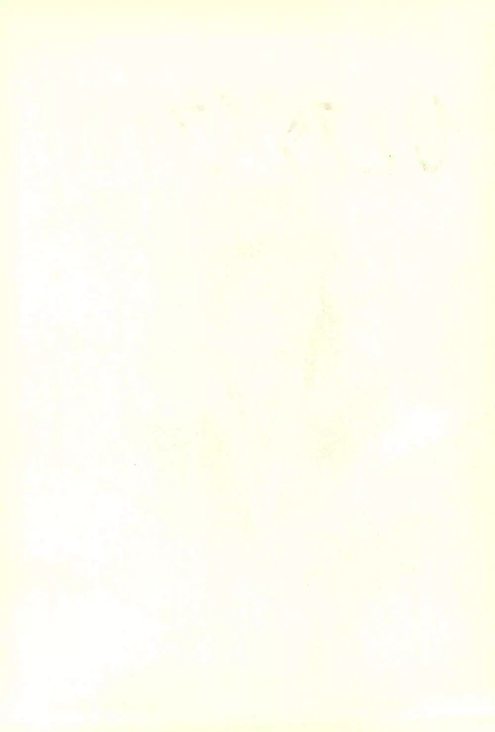 ひとスジ縄 SPECIAL るりるり? 総集編完全版 Page.2