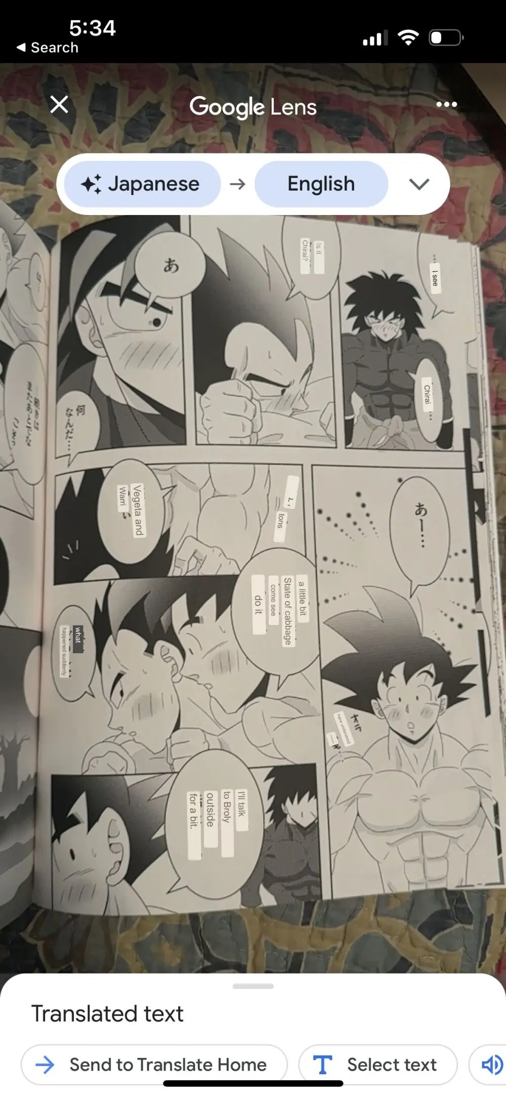 Broly Page.26