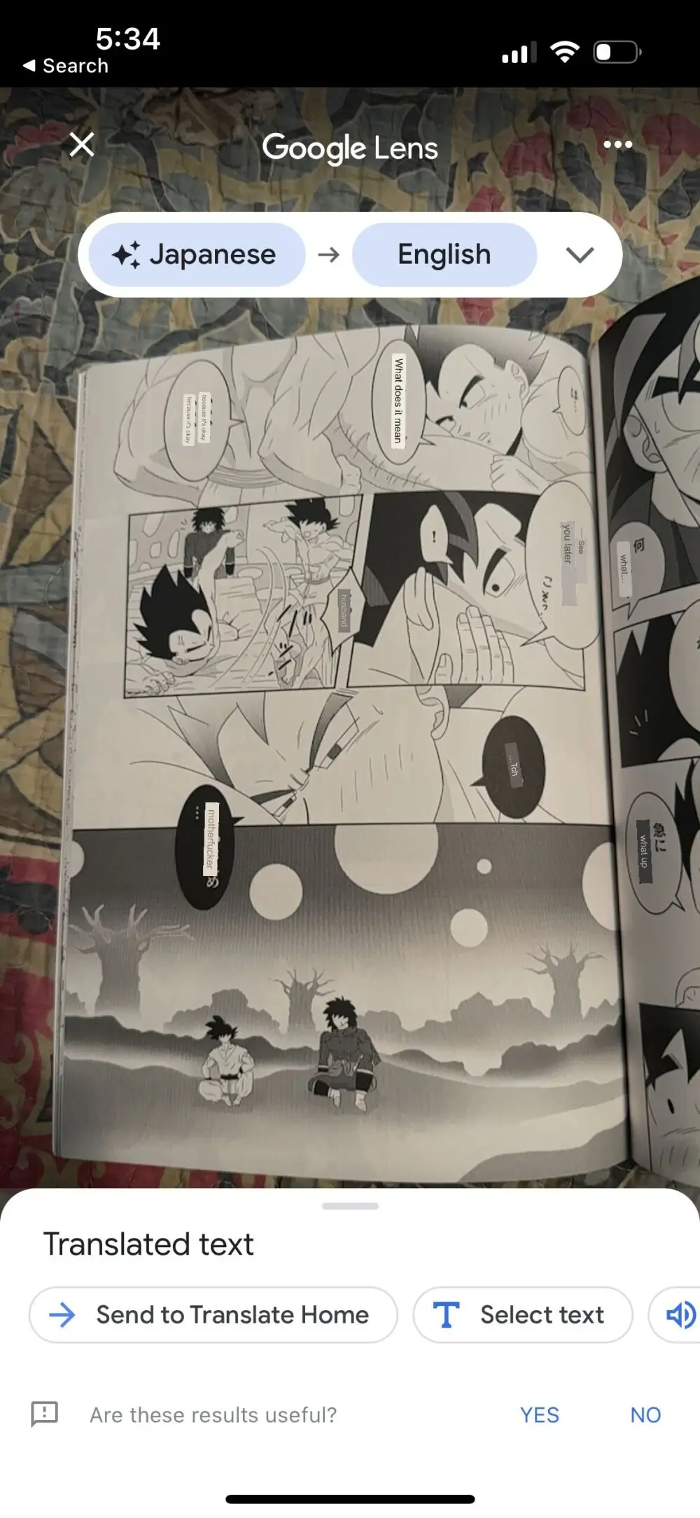 Broly Page.31
