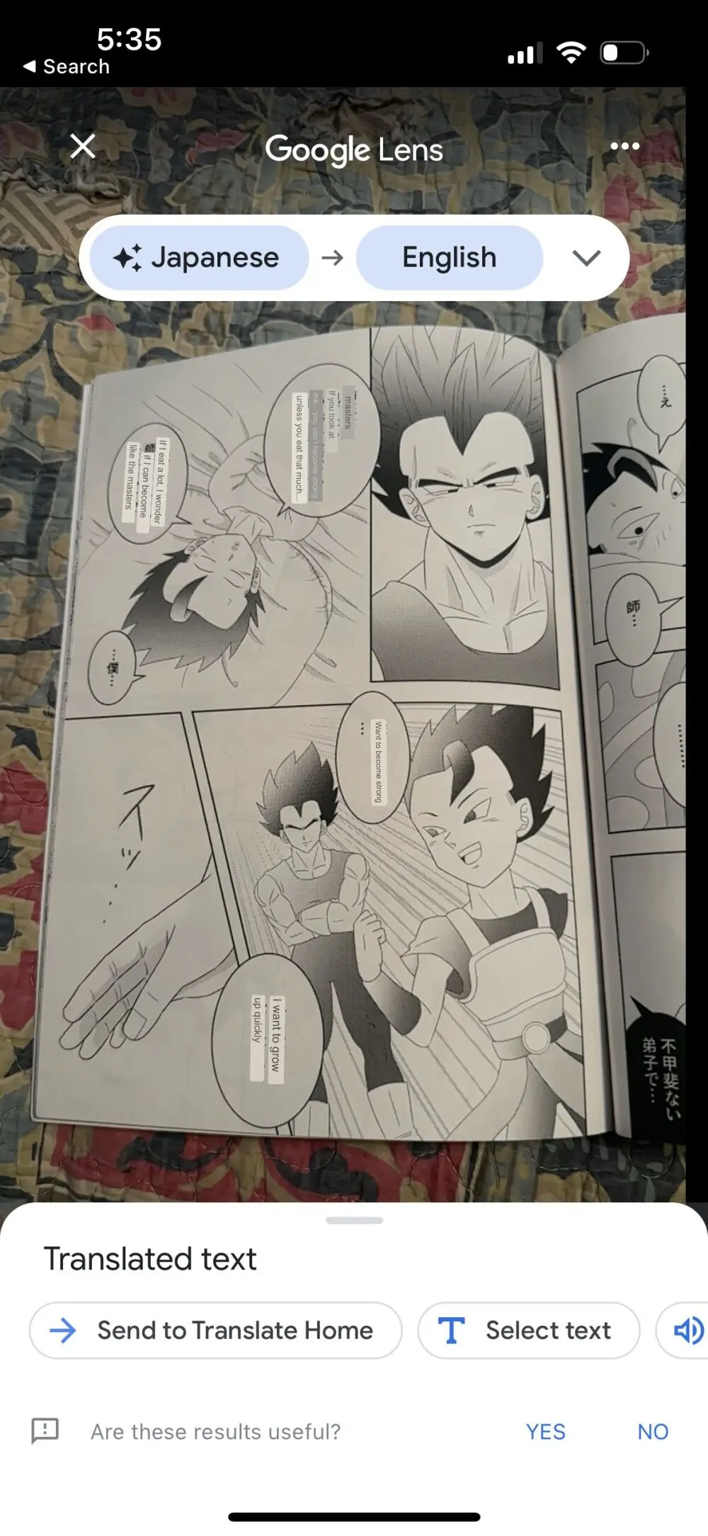 Broly Page.33