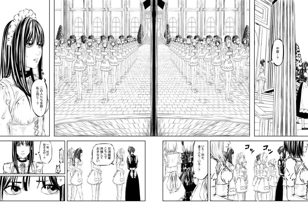 M.A.I.D.S system Page.13