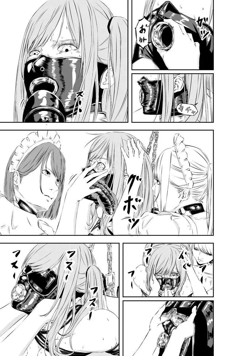 M.A.I.D.S system Page.19