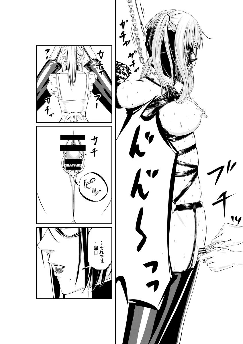 M.A.I.D.S system Page.24