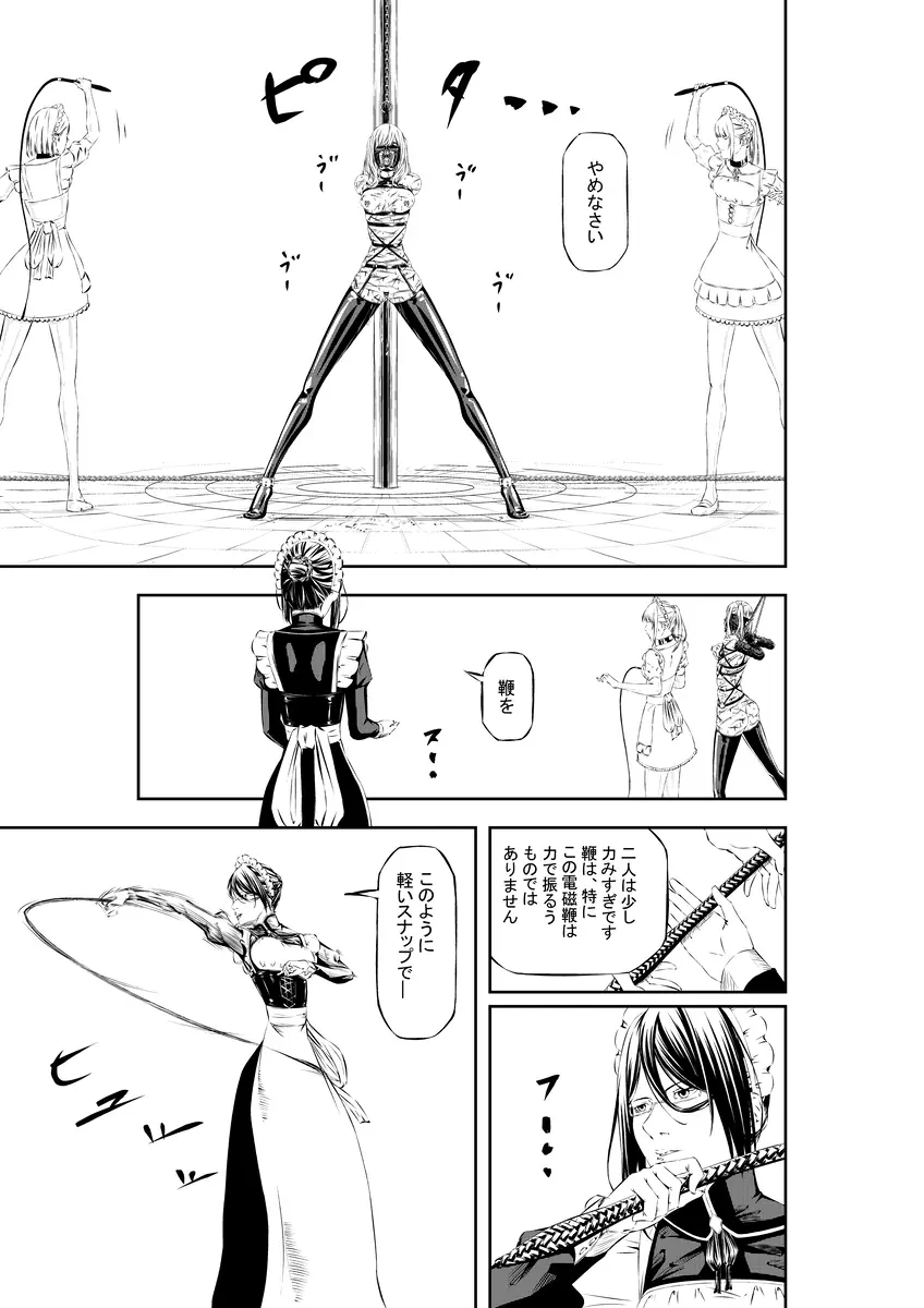 M.A.I.D.S system Page.29