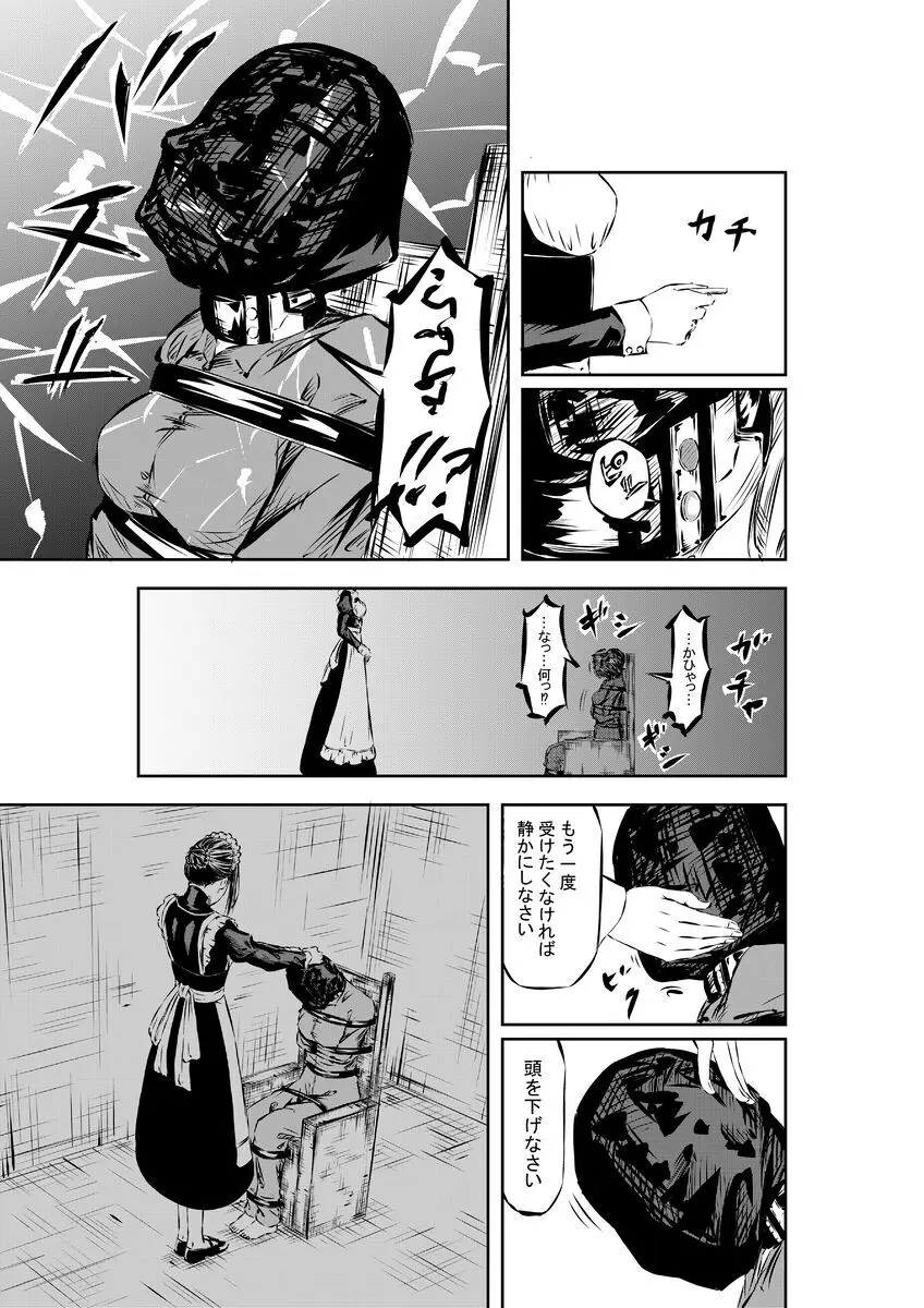 M.A.I.D.S system Page.6