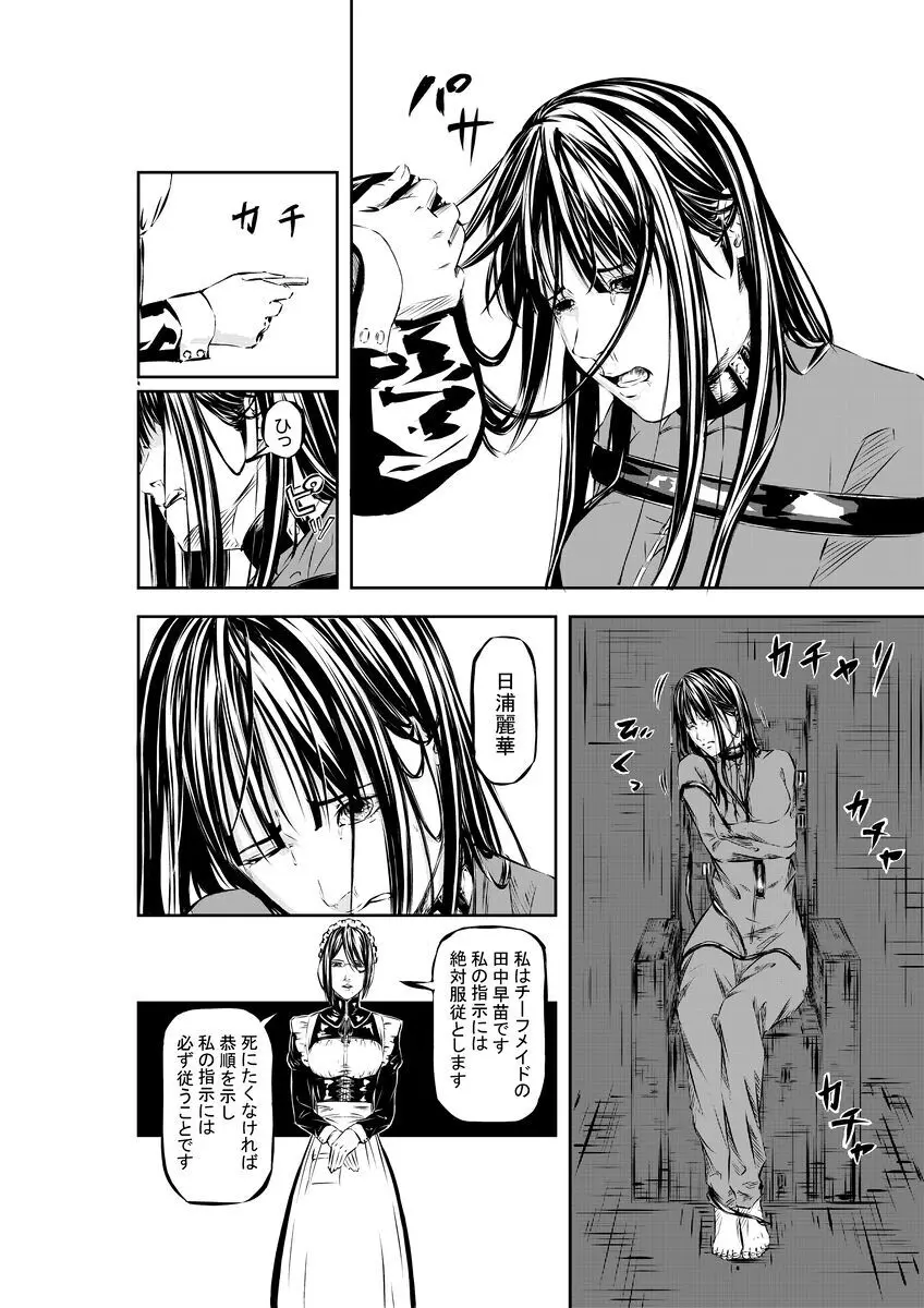 M.A.I.D.S system Page.7