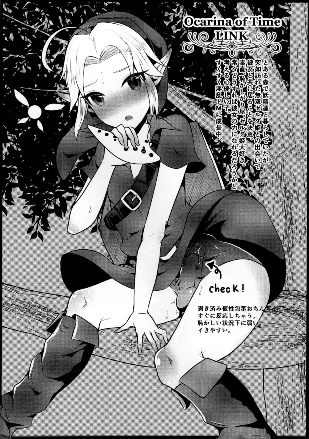 会場限定本 ふたゼルキャラ詰め+α Page.6