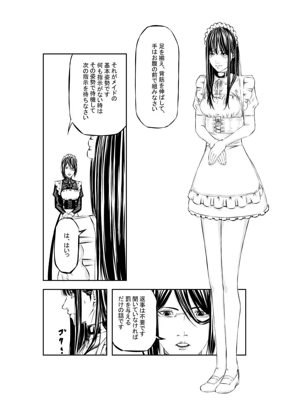 M.A.I.D.S System Page.11