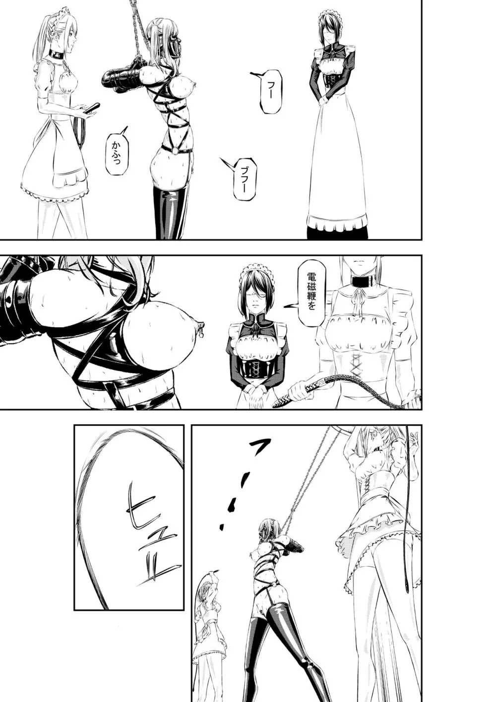 M.A.I.D.S System Page.27