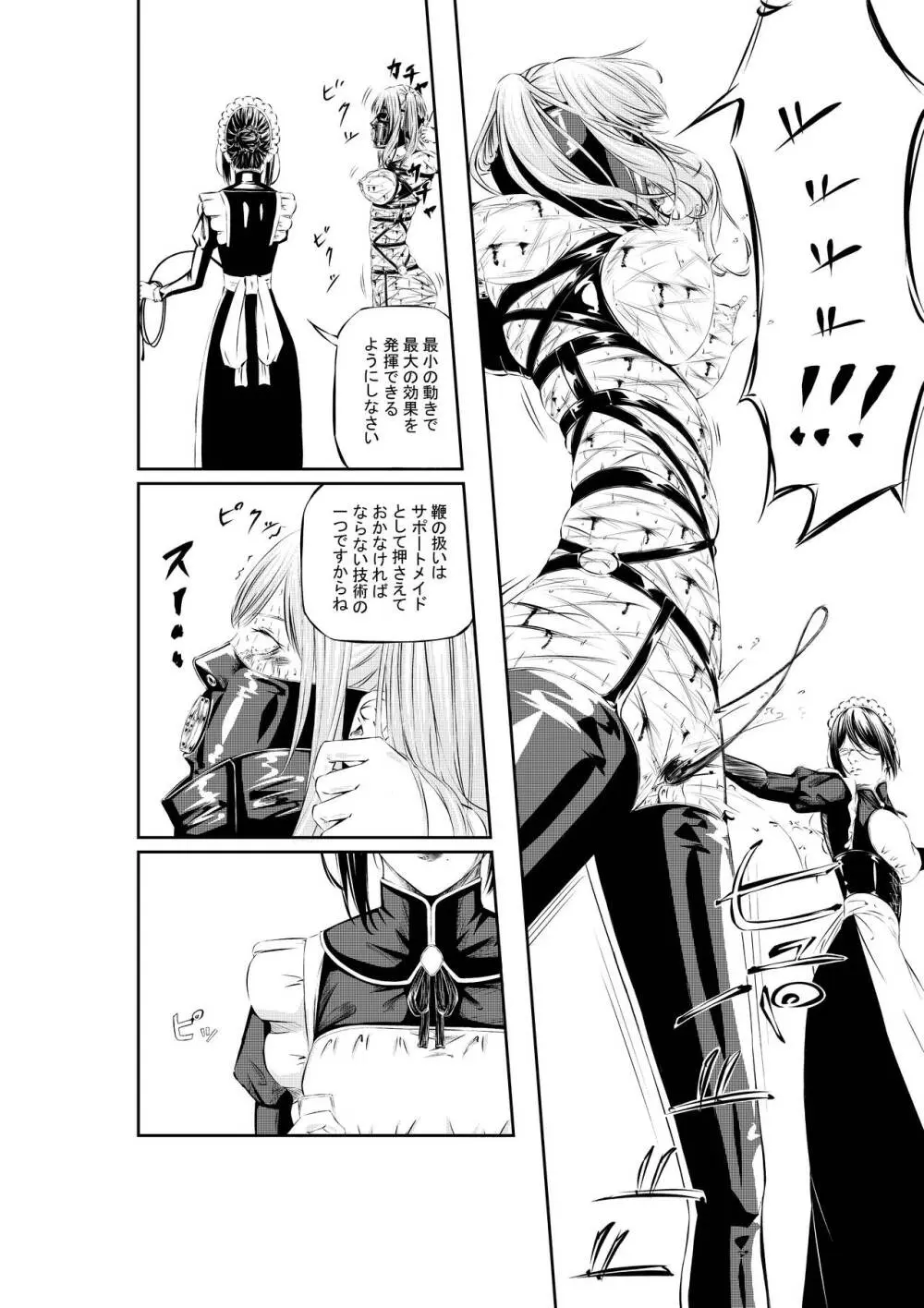 M.A.I.D.S System Page.30