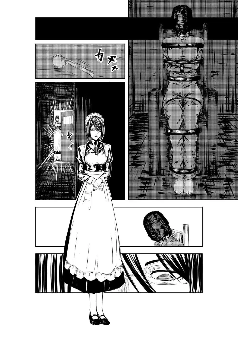 M.A.I.D.S System Page.5