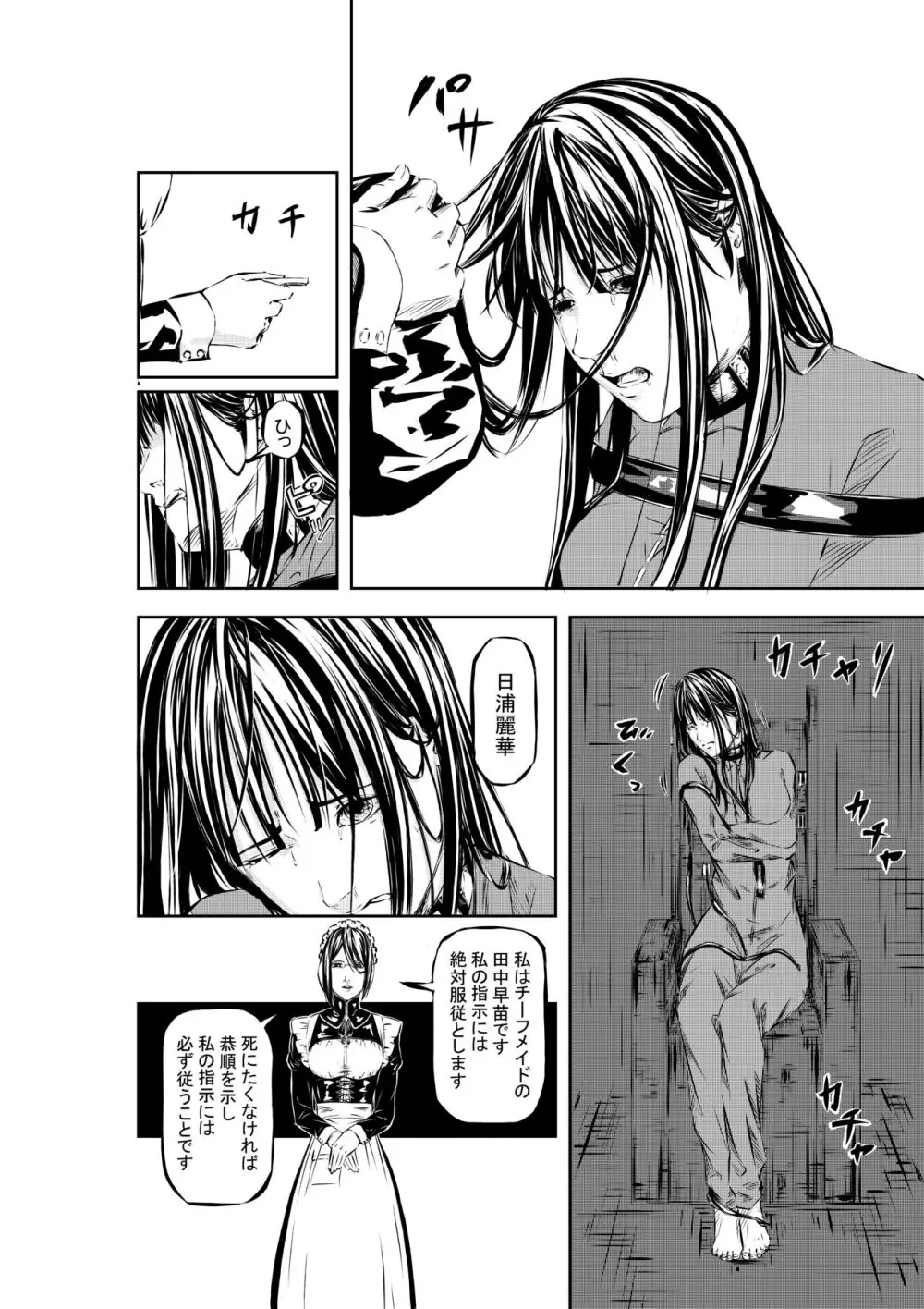 M.A.I.D.S System Page.7