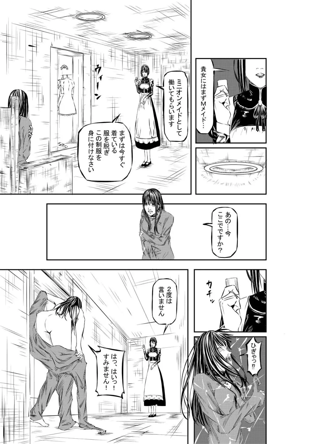 M.A.I.D.S System Page.8