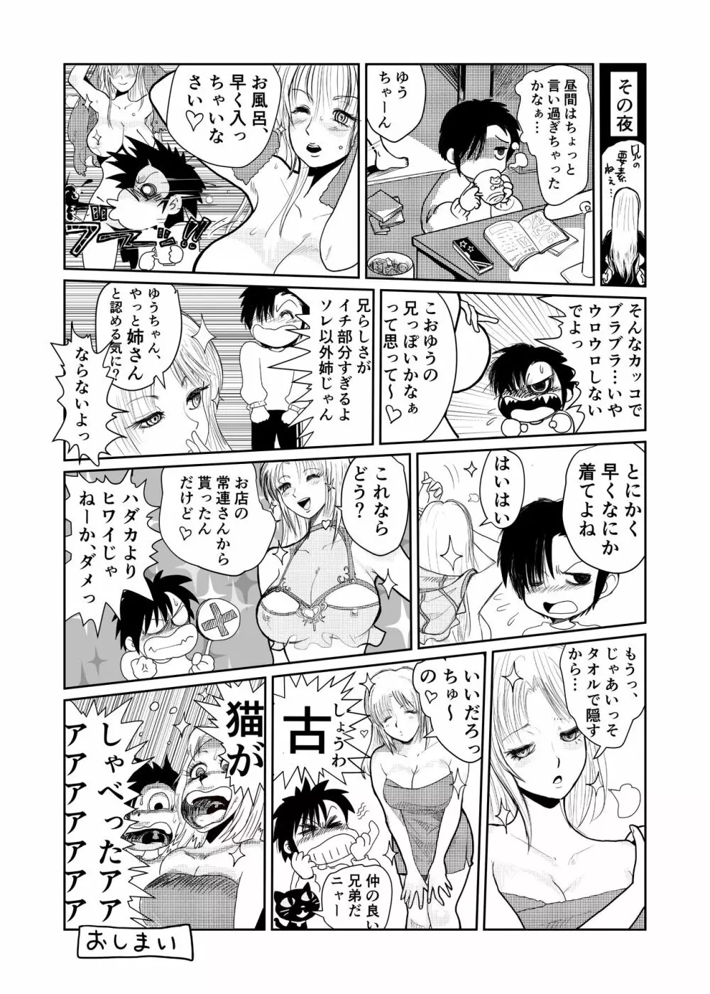 シーメール&メス男子合同誌 C's HAVEN3 竿 Page.227