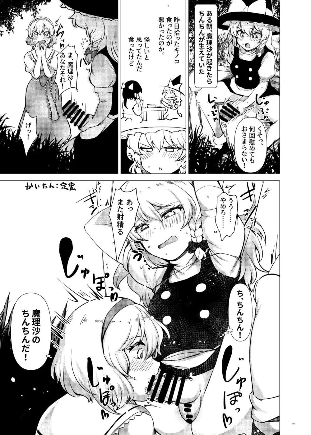 東方ふたなり受け合同誌 Page.233