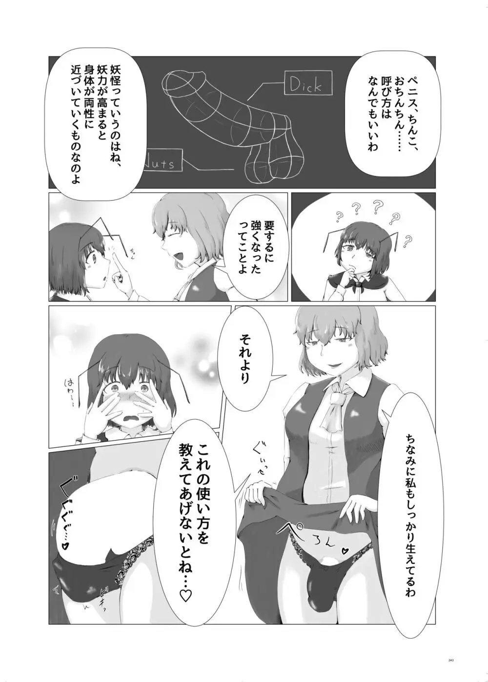 東方ふたなり受け合同誌 Page.243