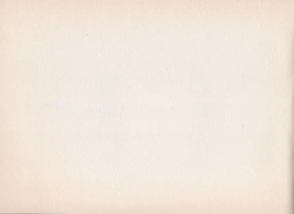 Shigeto Koyama - Yellow Page.4