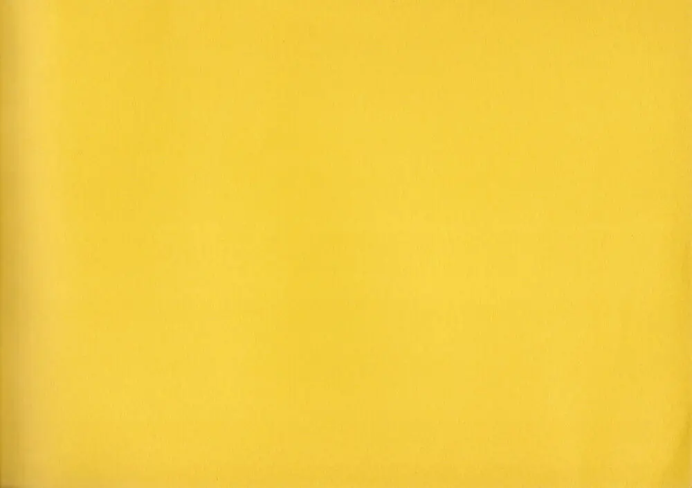 Shigeto Koyama - Yellow Page.47