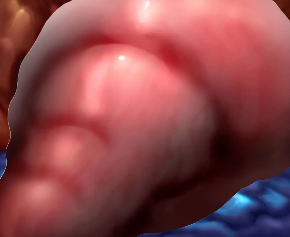 ログインミッションズ【モクレン編】～搦メ取ラレル女スパイ～ Page.277